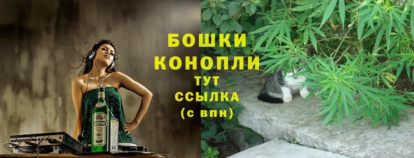 метадон Михайлов