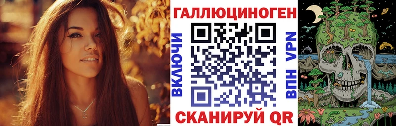 Купить закладки  Щёлкино  Псилоцибиновые грибы Cubensis 